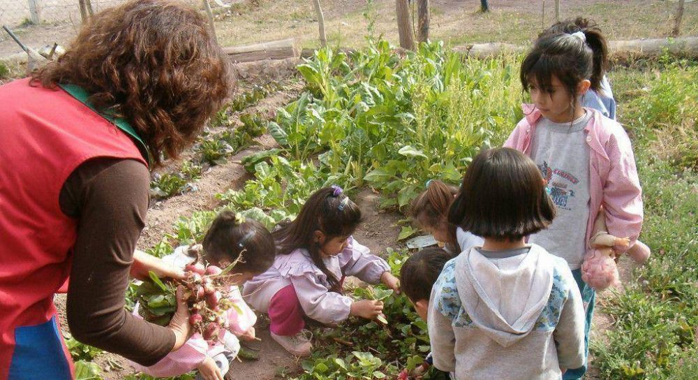 Escuelas con huertas propias