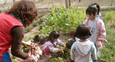 Escuelas con huertas propias