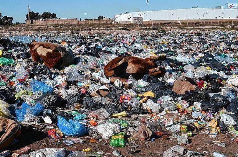 Los cartoneros dan el primer paso para la transformaci�n