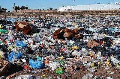 Los cartoneros dan el primer paso para la transformaci�n
