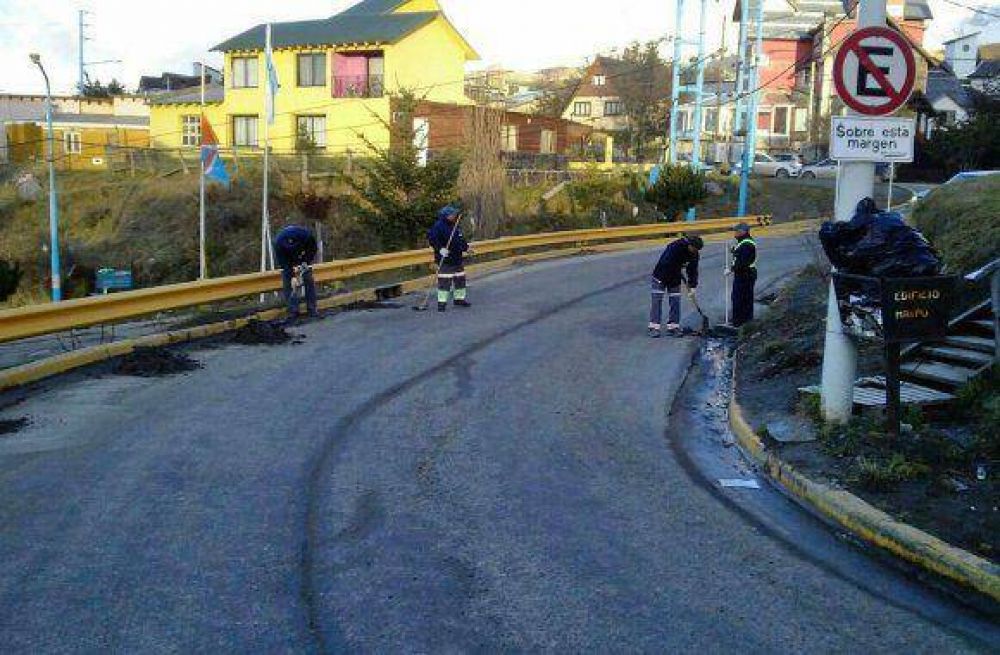 Contin�an los trabajos de limpieza organizados por el Municipio