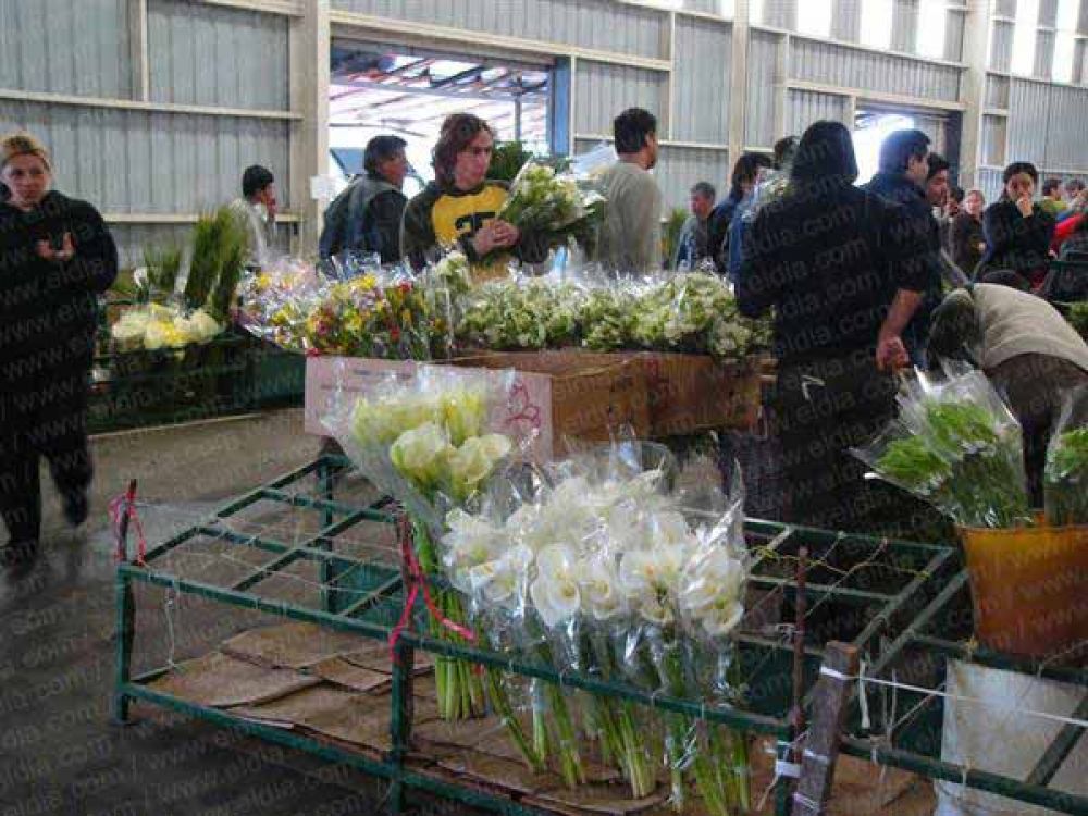 Productores preocupados en la temporada alta de venta de flores
