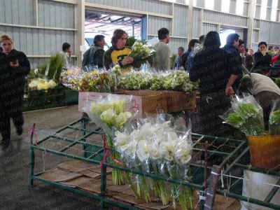 Productores preocupados en la temporada alta de venta de flores