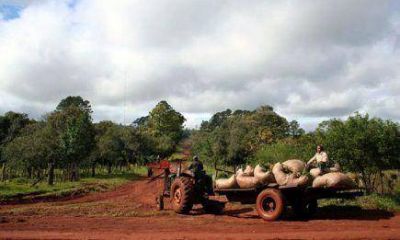 T�: �Hoy en d�a nosotros fijamos un precio y la industria paga en la forma que quiere�