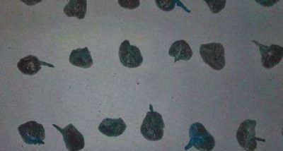 Corrientes: Ni�os compraban rivotril y marihuana en la puerta de una escuela