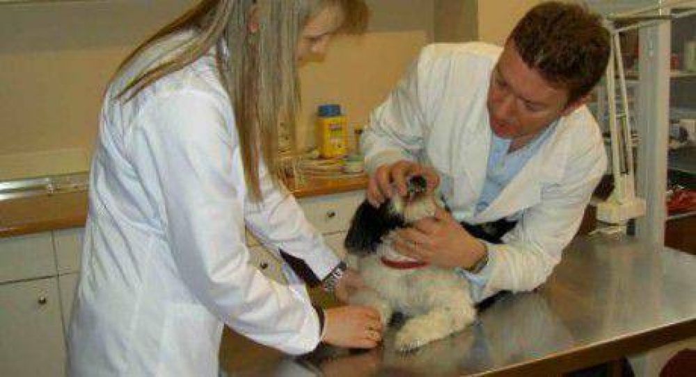 Vacunacin y castracin de mascotas en La Nueva Formosa