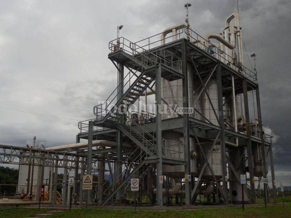 Nuevos horizontes en el desarrollo del biocombustible