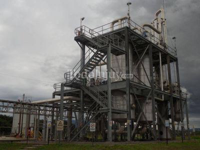 Nuevos horizontes en el desarrollo del biocombustible