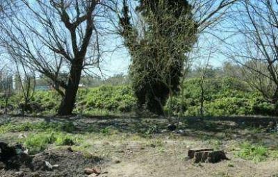 El Municipio formalizar� la denuncia para que Hidr�ulica resuelva el conflicto del Languey�