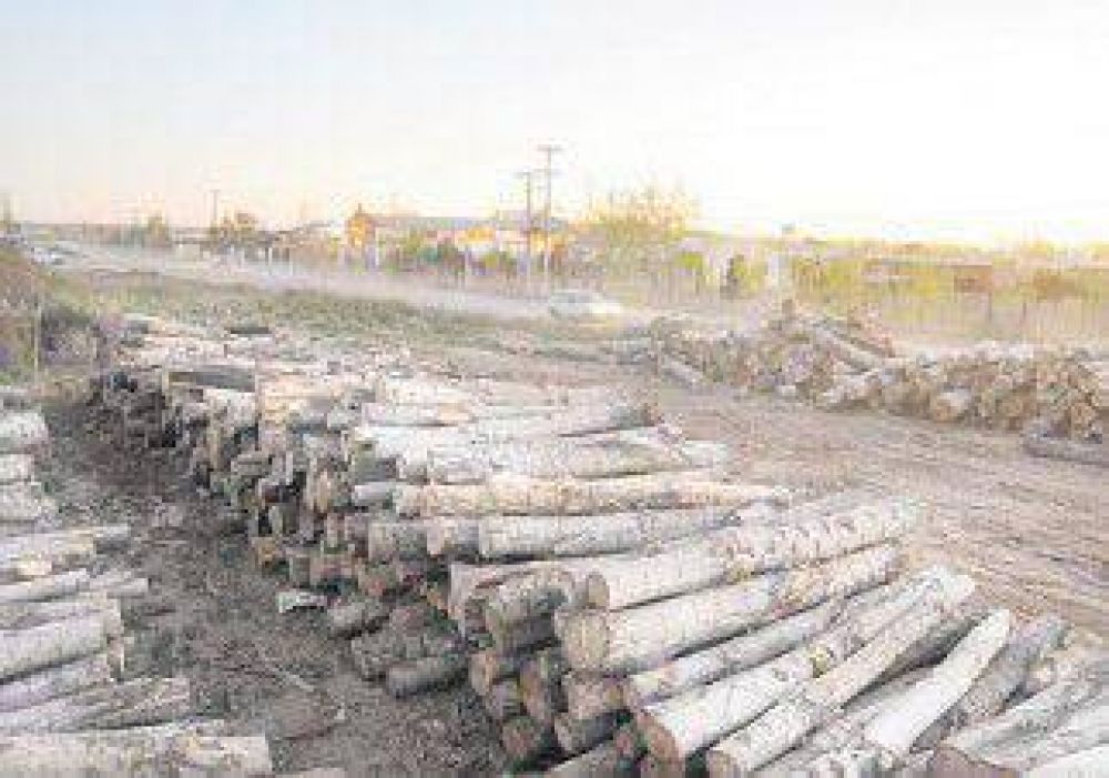 Por Vaca Muerta, Senillosa duplica su parque industrial 