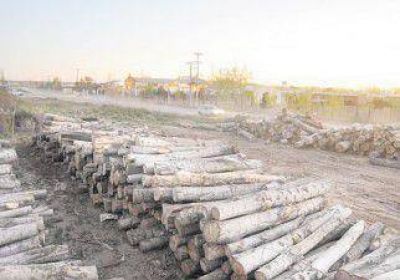 Por Vaca Muerta, Senillosa duplica su parque industrial 