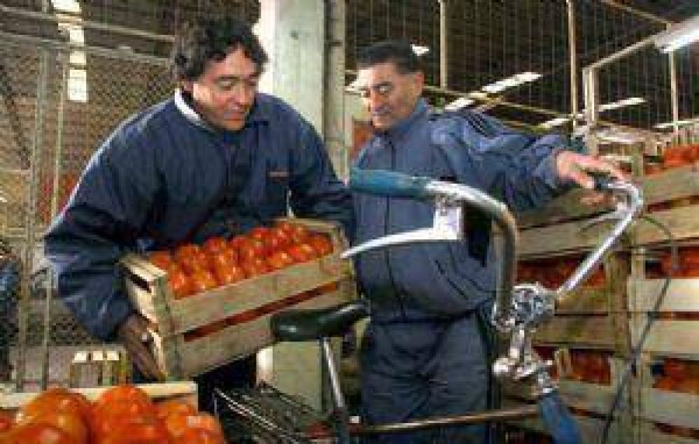 Los vegetales se remarcan entre 100% y 500%