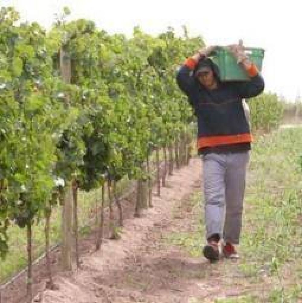 La vitivinicultura riojana tendr� un auxilio financiero de $12 millones