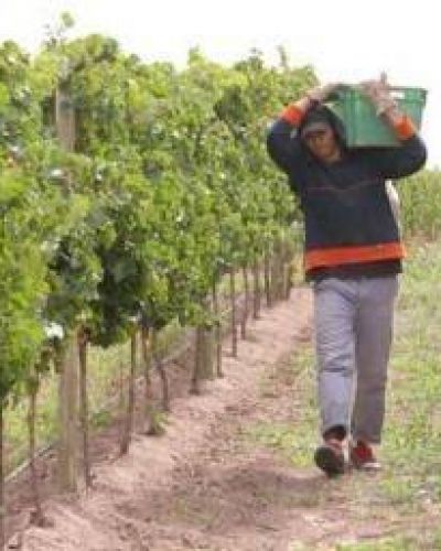 La vitivinicultura riojana tendr� un auxilio financiero de $12 millones