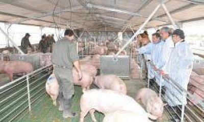 Un grupo de empresas SAPEM ya le da ganancias al Estado riojano