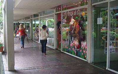 Comercios de la Regi�n ratificaron fuertes ca�das en las ventas