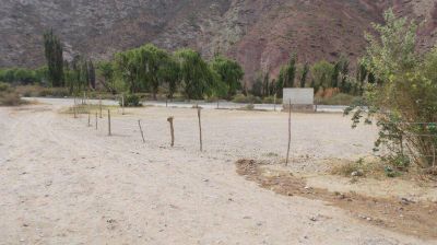 Pretenden desalojar escuela del Perchel