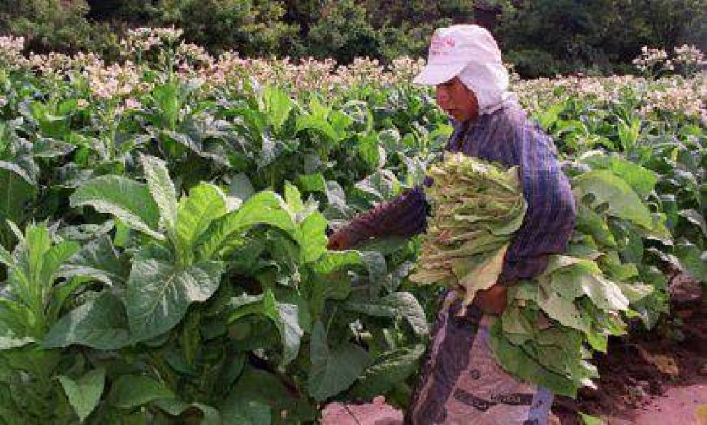 Representantes del sector tabacalero se reunieron con el secretario de Agricultura de la Naci�n