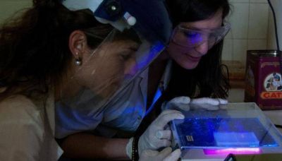 La hepatitis E ya est� en C�rdoba
