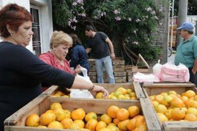 Ofrecen c�tricos entrerrianos a precios populares en distintos puntos de Paran�