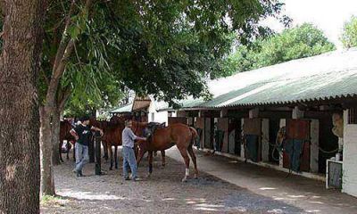 Detectan clubes de polo no declarados en Pilar y Rodr�guez