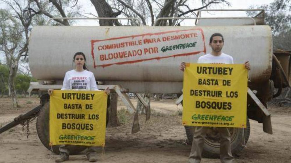 La justicia aval suspender un desmonte en Cuchuy con la presencia de Greenpeace