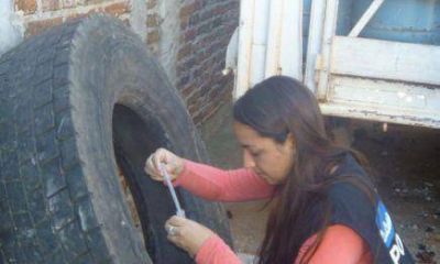 Este lunes comenz� el 15� LIRAa en Posadas