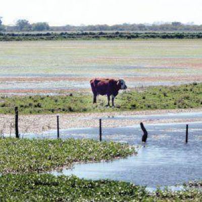 El campo se hunde