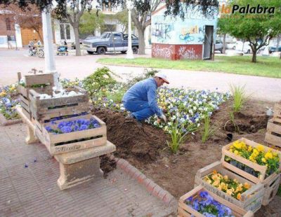 El vivero municipal trabaja intensamente en el embellecimiento de la ciudad