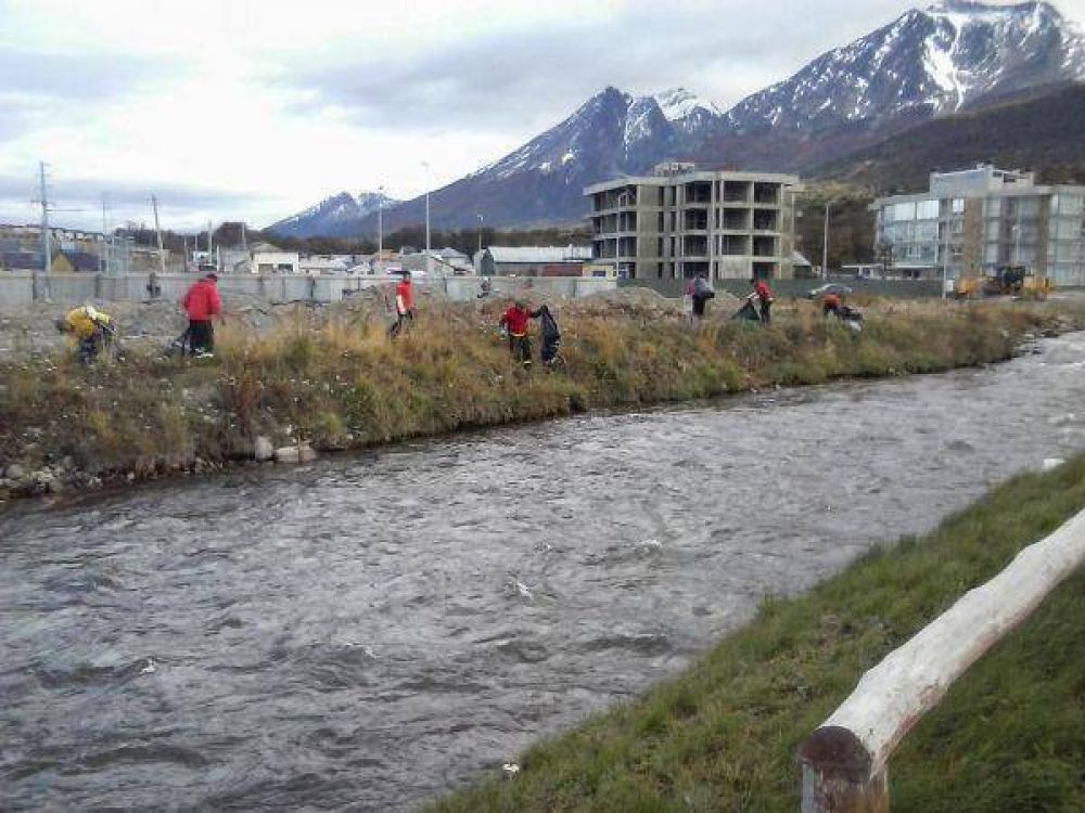 Concretan una nueva limpieza en el arroyo Grande