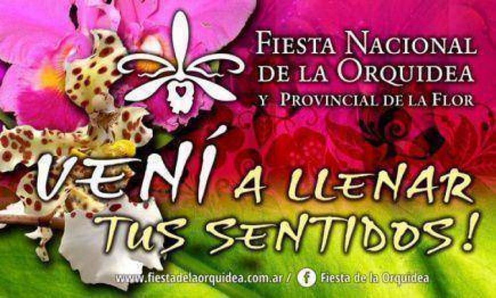 Fiesta de la Orqu�dea: La producci�n de flores busca ser una salida laboral para productores, todo el a�o