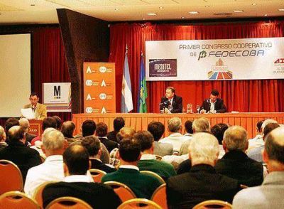 Cooperativas de luz exigen fondos o liberar las tarifas 