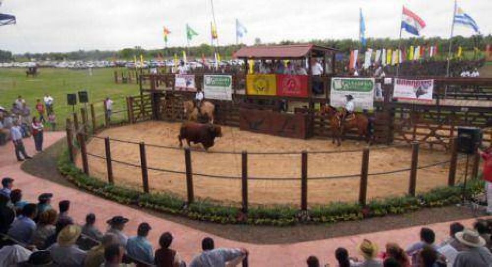 El remate en Irigoyen supero todas las expectativas