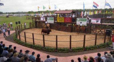El remate en Irigoyen supero todas las expectativas