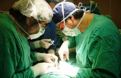 Pacientes pedi�tricos acceder�n a trasplantes por donaci�n multiorg�nicao