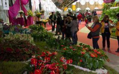 Inauguran la 51� edici�n de la Fiesta Nacional de la Flor en Escobar