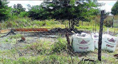 Vecinos movilizados por usurpaci�n en City Bell    