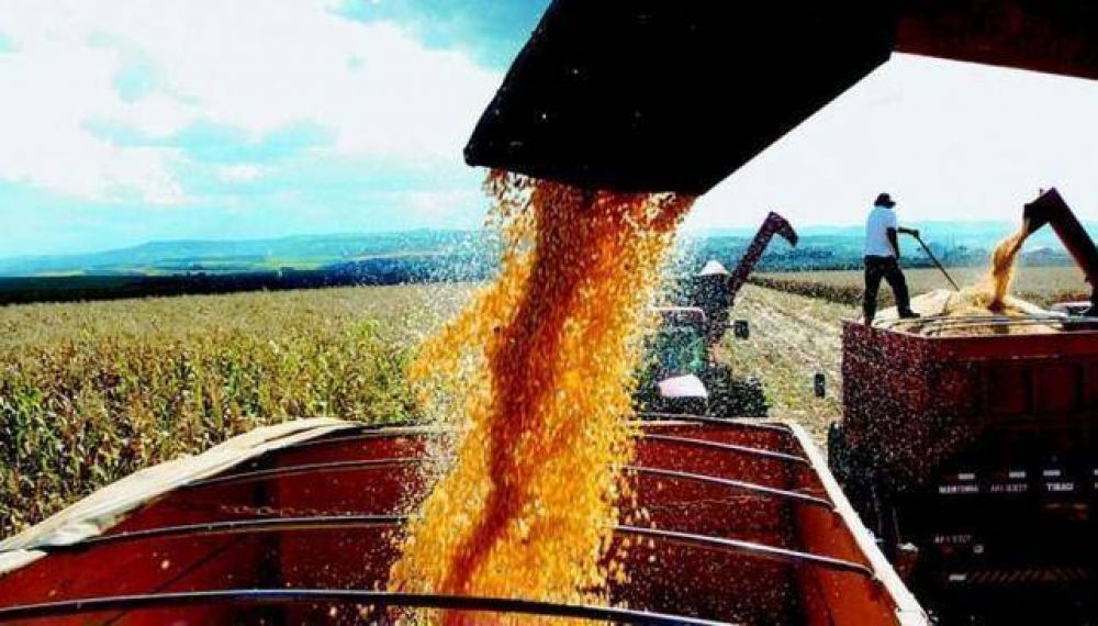 El Gobierno recortara ms de 35% el precio del bioetanol de maz