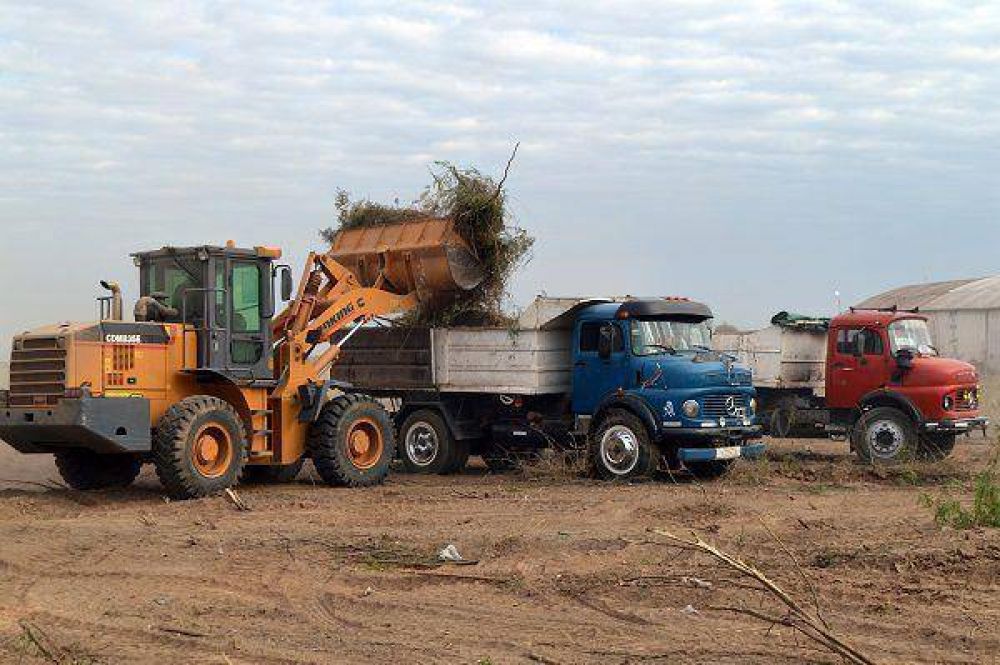 La Municipalidad de la Capital realiz� un importante operativo de limpieza en la zona norte