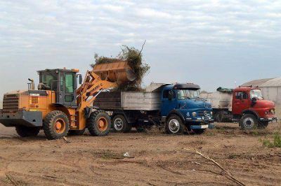 La Municipalidad de la Capital realiz� un importante operativo de limpieza en la zona norte