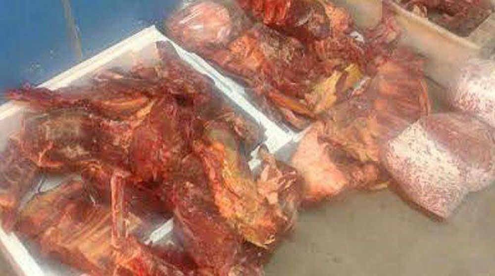 Decomisan 90 kilos de carne en mal estado de una carnicer�a