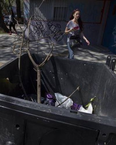 Todos los d�as habr� recolecci�n de basura en la ciudad