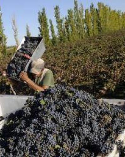CARPA preocupado por los �aumentos� en el precio de la energ�a