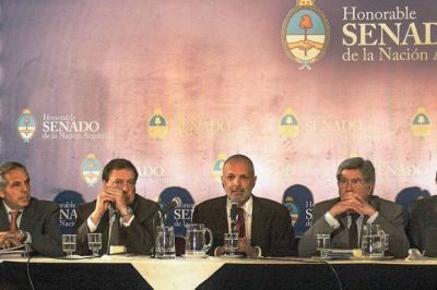 Buzzi expuso en el Senado sobre el proyecto de reforma a la Ley Nacional de Hidrocarburos