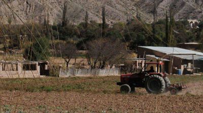 Crean un Centro de Cultivos Agroecol�gicos