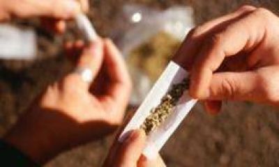 Drogas. Iglesia y especialistas contra proyecto K de despenalizar consumo