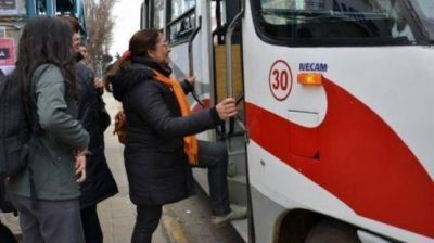Larcher reconoci� demoras en adjudicaci�n de los colectivos