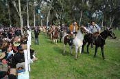 La Plata: Ciudad ser� sede del 5to. Festival del Jinete bonaerense 