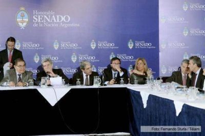 El proyecto de la nueva ley de hidrocarburos recibi� dictamen en el Senado