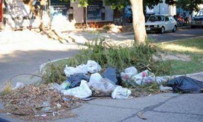 La gesti�n de residuos urbanos debe ser una pol�tica de Estado en Posadas